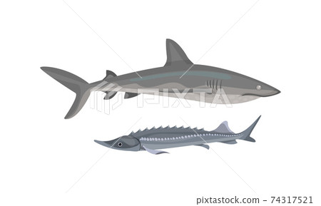 Fish from Deep Sea as Gill-bearing Aquatic Animals Vector Set Fish from Deep Sea as Gill-bearing Aquatic Animals Vector Set 74317521
