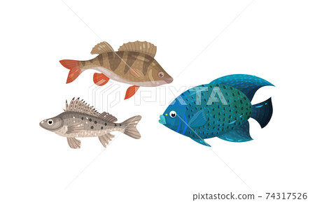 Fish from Deep Sea as Gill-bearing Aquatic Animals Vector Set Fish from Deep Sea as Gill-bearing Aquatic Animals Vector Set 74317526