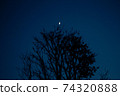 日本樹剪影和半個月亮 74320888