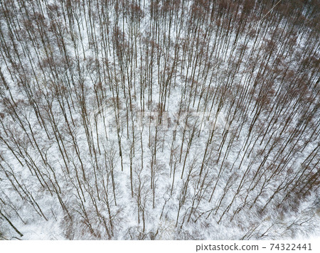 Aerial view on winter landscape with trees in deciduous forest covered with hoarfrost Aerial view on winter landscape with trees in deciduous forest covered with hoarfrost 74322441