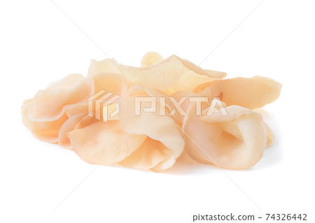 white ear mushroom or white jelly mushroom isolated on white background 74326442