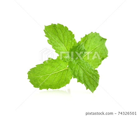 Mint leaves isolated on white background. Mint leaves isolated on white background. 74326501