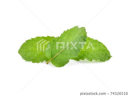 Mint leaves isolated on white background. 74326510