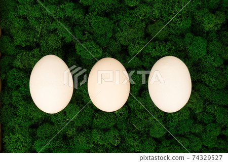 Easter colored eggs 74329527