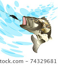 Bass fish, fishing for perch with a bait on a splash water background 74329681