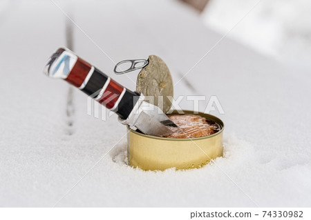 Can of tourist canned food with a stuck knife. 74330982