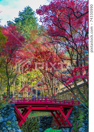 Ryokaizan Yokokura Temple (November Tajimi Autumn) 74330990