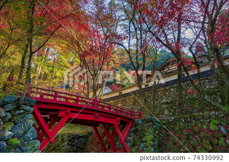 Ryokaizan Yokokura Temple (November Tajimi Autumn) 74330992