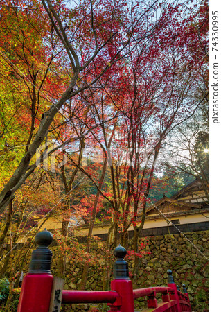 Ryokaizan Yokokura寺(11月多治見秋天) Ryokaizan Yokokura寺(11月多治見秋天) 74330995