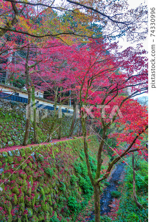 Ryokaizan Yokokura寺（11月多治見秋天） 74330996