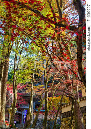 Ryokaizan Yokokura寺（11月多治見秋天） 74330997