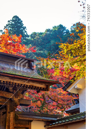 Ryokaizan Yokokura Temple (November Tajimi Autumn) 74331007