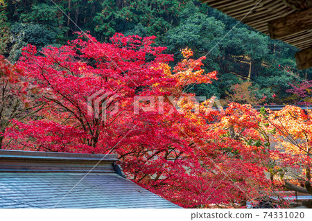 Ryokaizan Yokokura Temple (November Tajimi Autumn) Ryokaizan Yokokura Temple (November Tajimi Autumn) 74331020