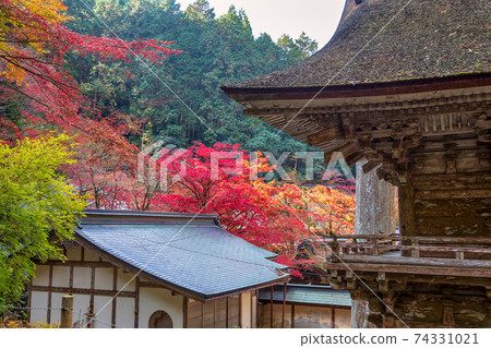 Ryokaizan Yokokura寺(11月多治見秋天) Ryokaizan Yokokura寺(11月多治見秋天) 74331021