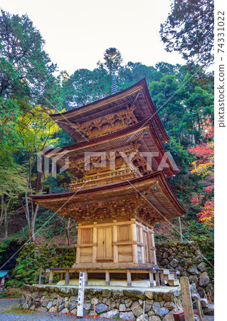 Ryokaizan Yokokura Temple (November Tajimi Autumn) 74331022
