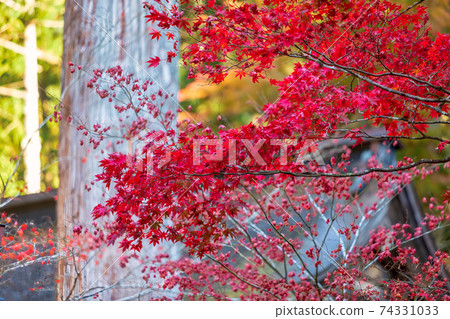 Ryokaizan Yokokura Temple (November Tajimi Autumn) Ryokaizan Yokokura Temple (November Tajimi Autumn) 74331033