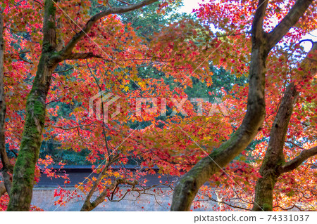 Ryokaizan Yokokura Temple (November Tajimi Autumn) Ryokaizan Yokokura Temple (November Tajimi Autumn) 74331037