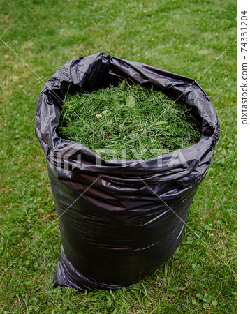 Mowing a household garden lawn with black bag of grass clippings. 74331204