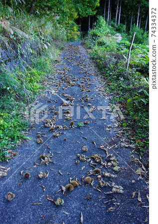 下栗之裡的佐藤山路 下栗之裡的佐藤山路 74334372