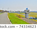 Yodogawa spring riverbed turf 74334623