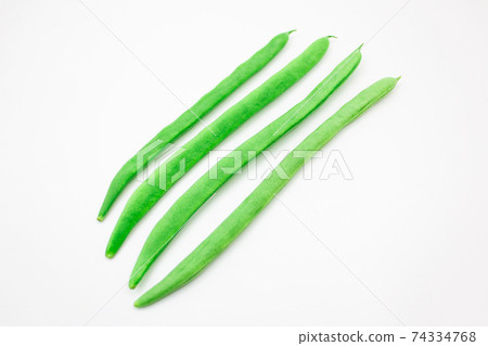 新鮮美味的綠豆 74334768