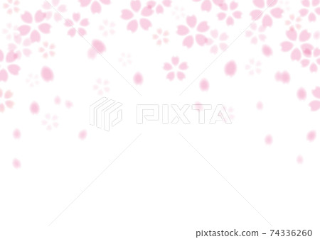 背景框櫻花[白色] 01 74336260