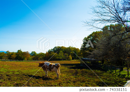 Scenery of Minamigaoka ranch in Nasu Scenery of Minamigaoka ranch in Nasu 74338151