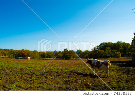 Scenery of Minamigaoka ranch in Nasu Scenery of Minamigaoka ranch in Nasu 74338152