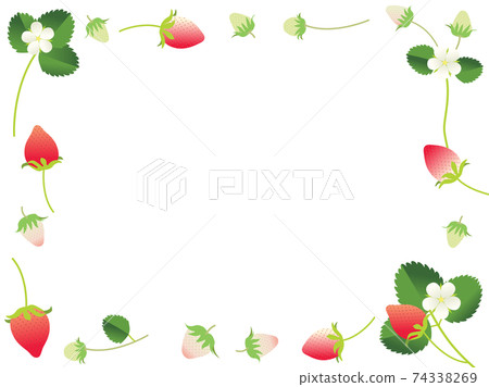 春天草莓框架 74338269