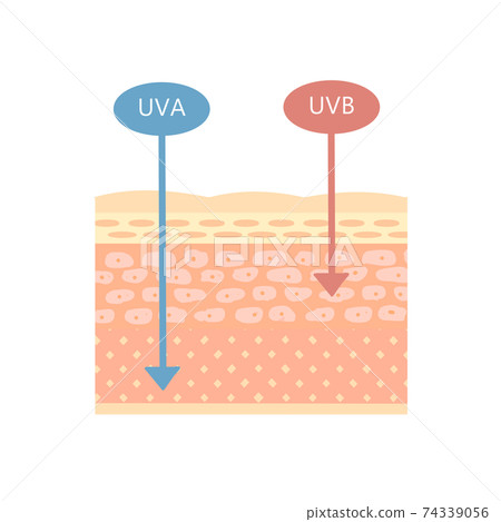 Skin structure UVA / UVB mechanism - Stock Illustration [74339056] - PIXTA