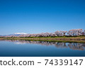 Shiroishi River bank Ichimoku Senbonzakura (Ogawara) 74339147