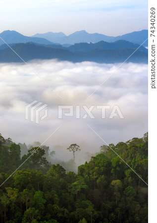 Kaeng Krachan National Park. Kaeng Krachan National Park. 74340269