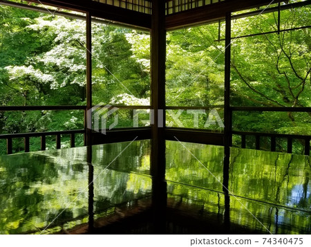 In fresh green Kyoto In fresh green Kyoto 74340475
