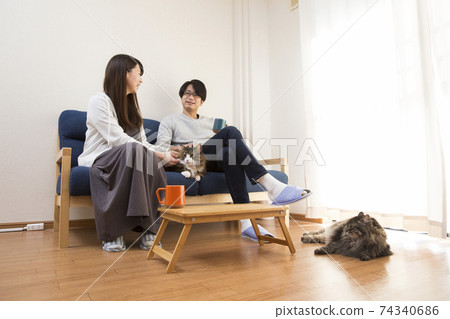 貓和生命，兩隻貓，長發的挪威人 74340686
