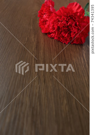 康乃馨7放在桌子上垂直位置 康乃馨7放在桌子上垂直位置 74341395