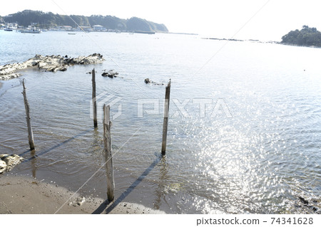 神奈川縣三浦市惠那灣風景 神奈川縣三浦市惠那灣風景 74341628