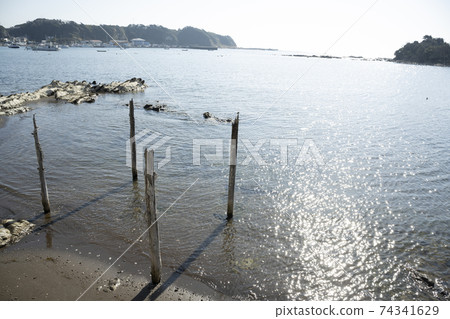 Scenery of Ena Bay, Miura City, Kanagawa Prefecture Scenery of Ena Bay, Miura City, Kanagawa Prefecture 74341629