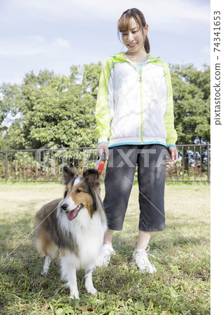年輕女子在公園裡walking狗 年輕女子在公園裡walking狗 74341653
