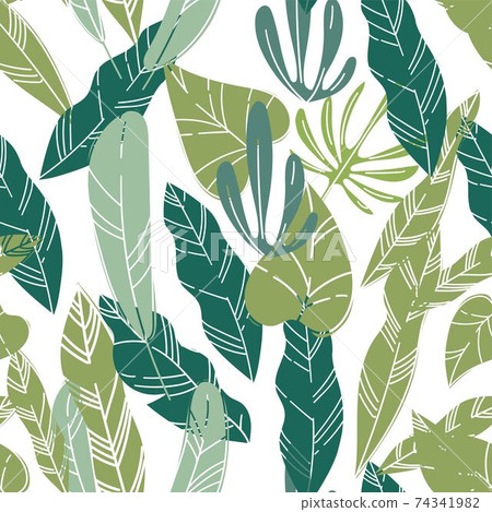 Exotic foliage and leaves of plants and flowers Exotic foliage and leaves of plants and flowers 74341982