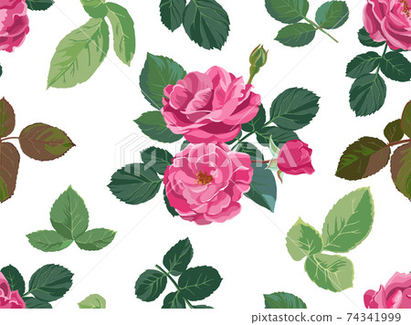 Blooming peonies or roses with buds pattern vector 74341999