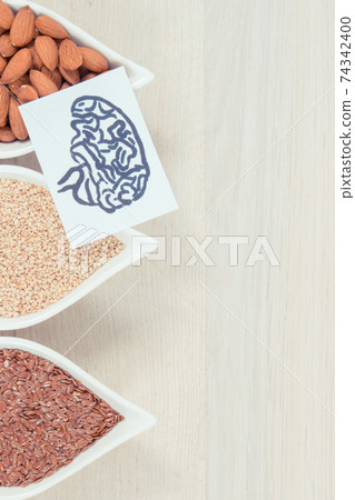 Drawing of brain and best nutritious food for health and good memory, place for inscriptions Drawing of brain and best nutritious food for health and good memory, place for inscriptions 74342400
