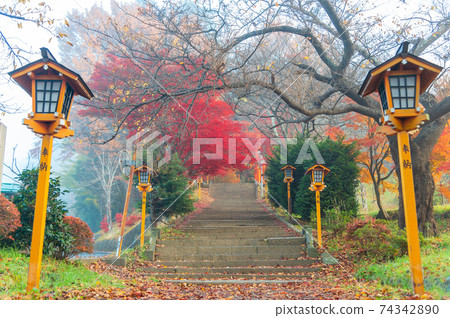 Fujiyoshida, Yamanashi, Japan - November 17, 2016- Autumn scene at entrance to Arakura Sengen Shrine, the path leading to the Chureito Pagoda Fujiyoshida, Yamanashi, Japan - November 17, 2016- Autumn scene at entrance to Arakura Sengen Shrine, the path leading to the Chureito Pagoda 74342890