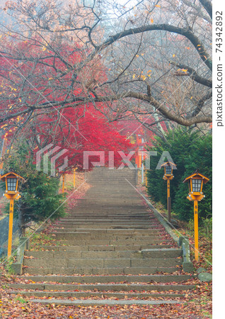 Fujiyoshida, Yamanashi, Japan - November 17, 2016- Autumn scene at entrance to Arakura Sengen Shrine, the path leading to the Chureito Pagoda Fujiyoshida, Yamanashi, Japan - November 17, 2016- Autumn scene at entrance to Arakura Sengen Shrine, the path leading to the Chureito Pagoda 74342892