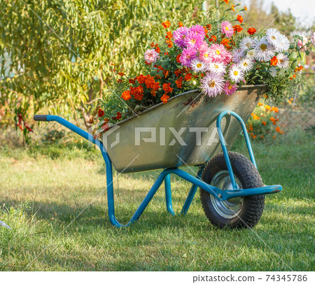 Summer garden with wheelbarrow on green grass. Summer garden with wheelbarrow on green grass. 74345786