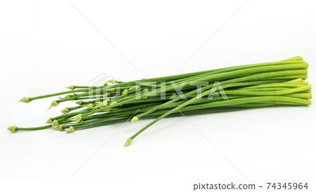 Organic Callion Flower or Allium cepa or Onion Flower Stem on white background, Asian long plant vegetable with strong aroma. 74345964