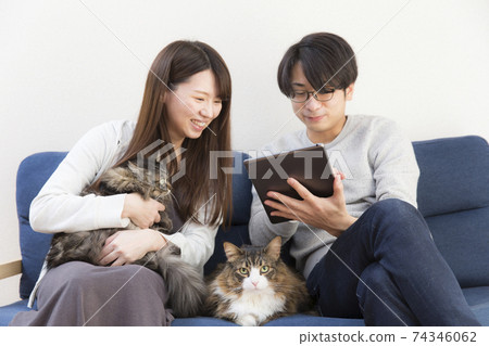 與貓，兩隻貓，挪威長發，智能手機，平板電腦的生活 74346062