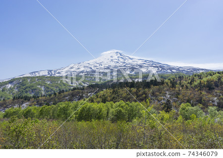 Fresh green and snow remaining Mt. Chokai Fresh green and snow remaining Mt. Chokai 74346079
