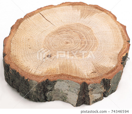 樹墩 74346594