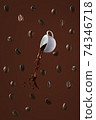 coffee splash with coffee beans 74346718