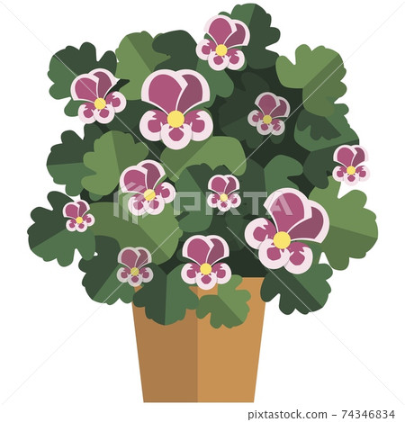Beautiful flourishing flower in pot flat vector 74346834